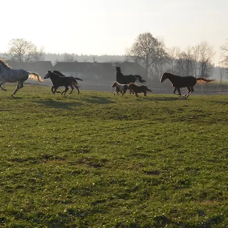 Agroturismo Dworek Mazurski Lizer Stręgielek