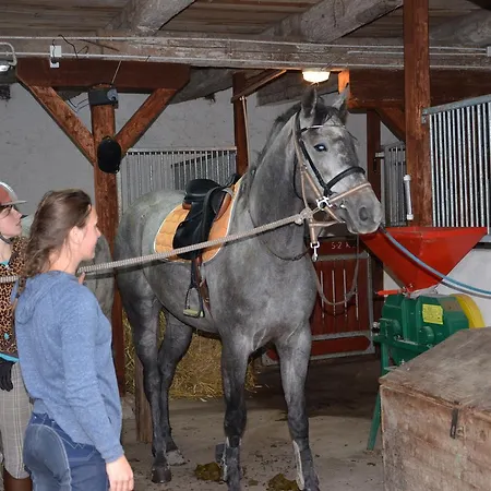 Gospodarstwo agroturystyczne Dworek Mazurski Lizer *
