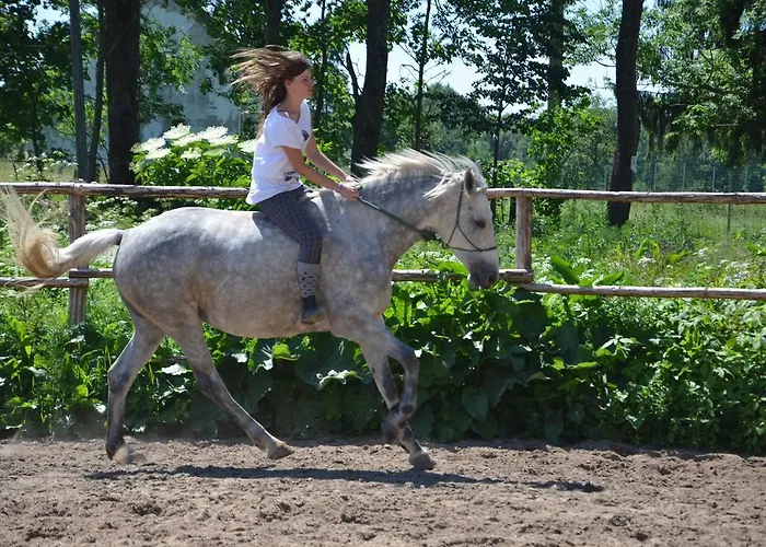 Dworek Mazurski Lizer Farma Stręgielek