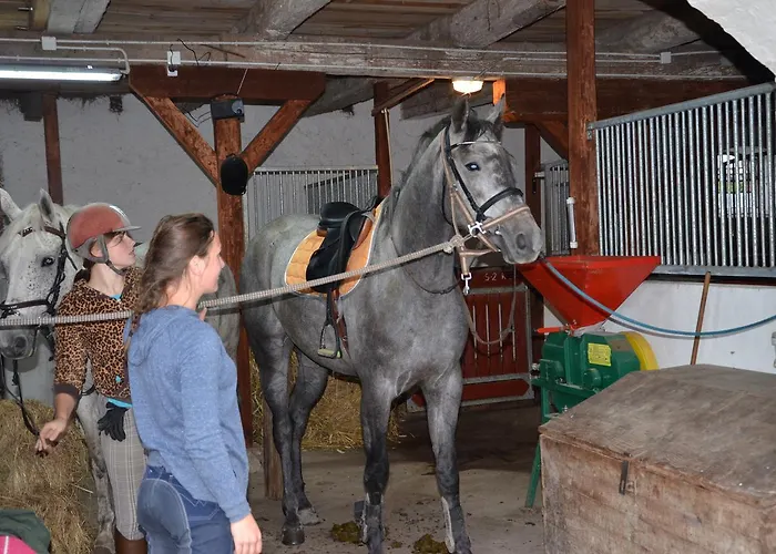 Farma Dworek Mazurski Lizer *